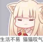 用户：264*********